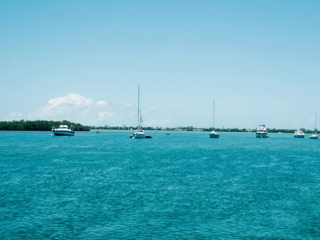 Sailboat Bottom Paint Guide: Types, Costs & Prep