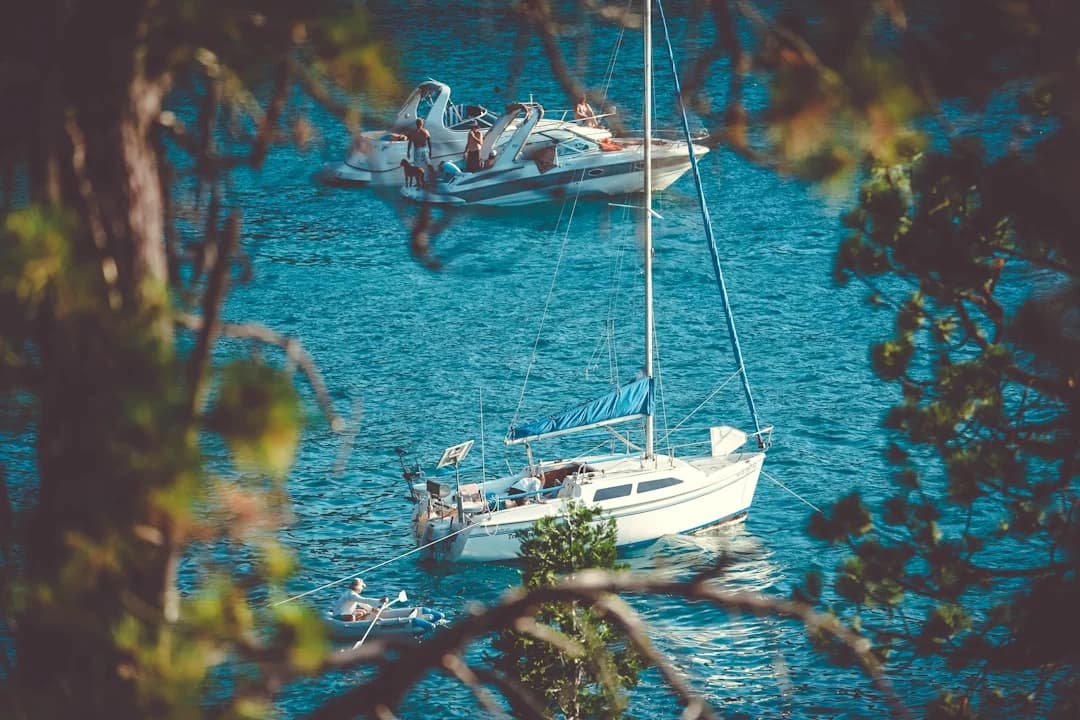 Best Anchor for a Sailboat: Complete Buyer's Guide