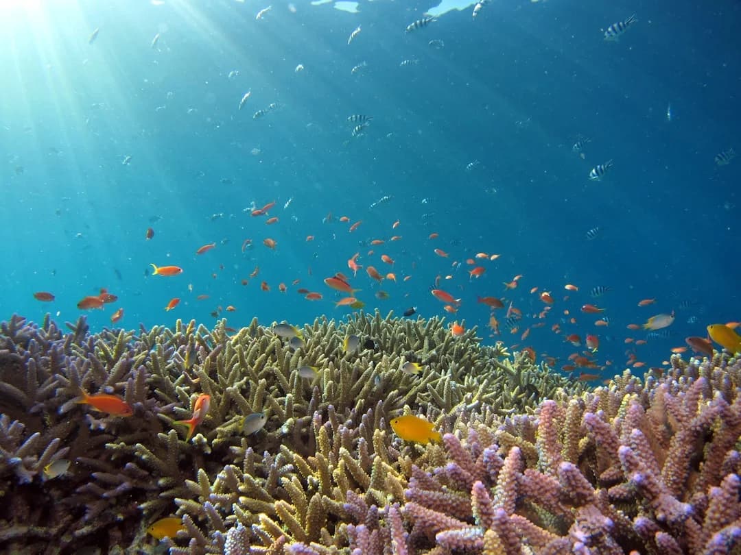When to Reef: Safe Systems for Simple Cruising