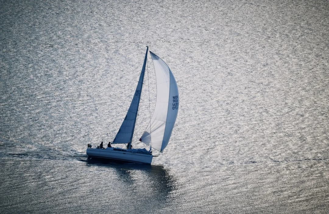 Docking a Catamaran: Maneuvers, Springs & Crew