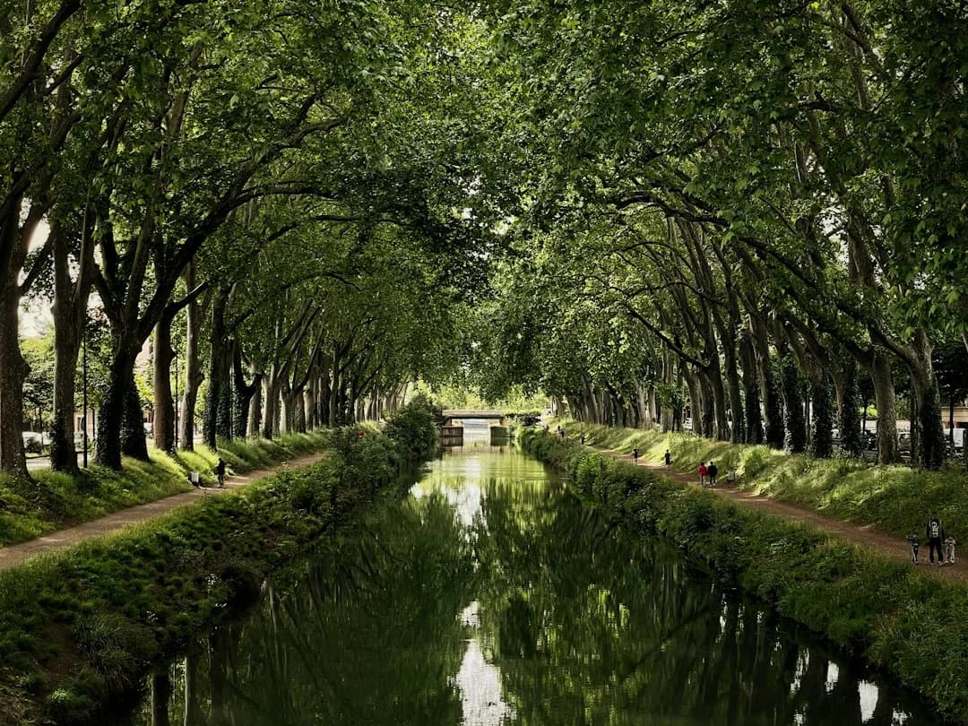 French Canals Boat Trip Guide Beyond Canal du Midi