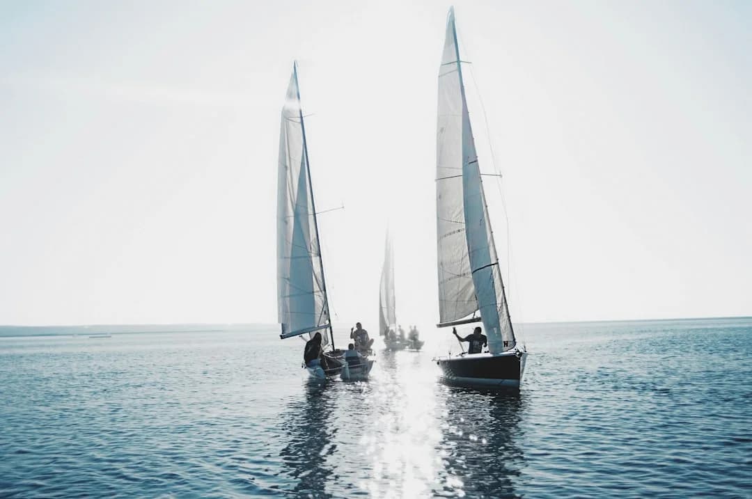 Sail Trim for Beginners: Main + Jib Cruising Guide